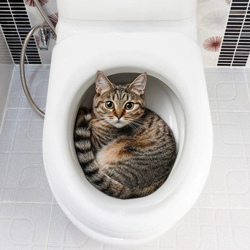 3D Funny Cat Toilet Sticker Ba - Jet Home Bathroom Accessories review and price