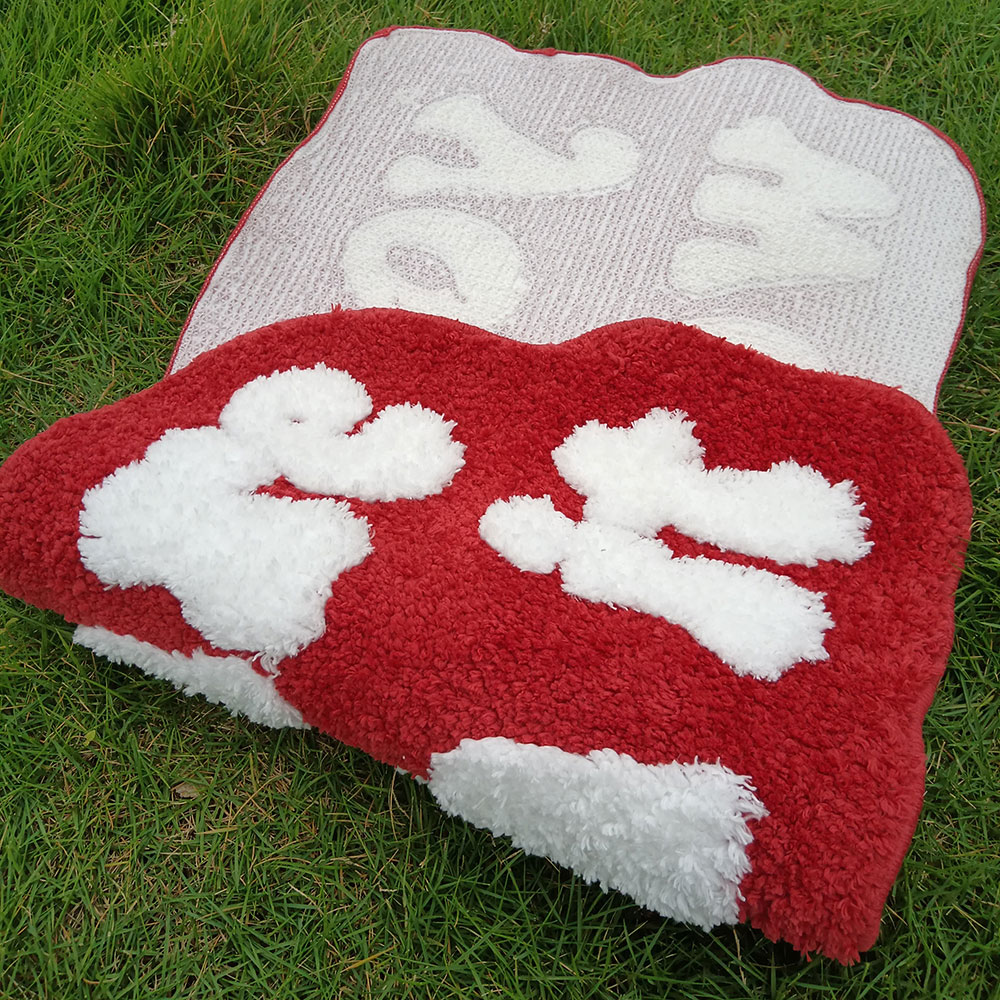 Non-Slip Carpet with Letter Pa - Home Bathroom Door Design review and price