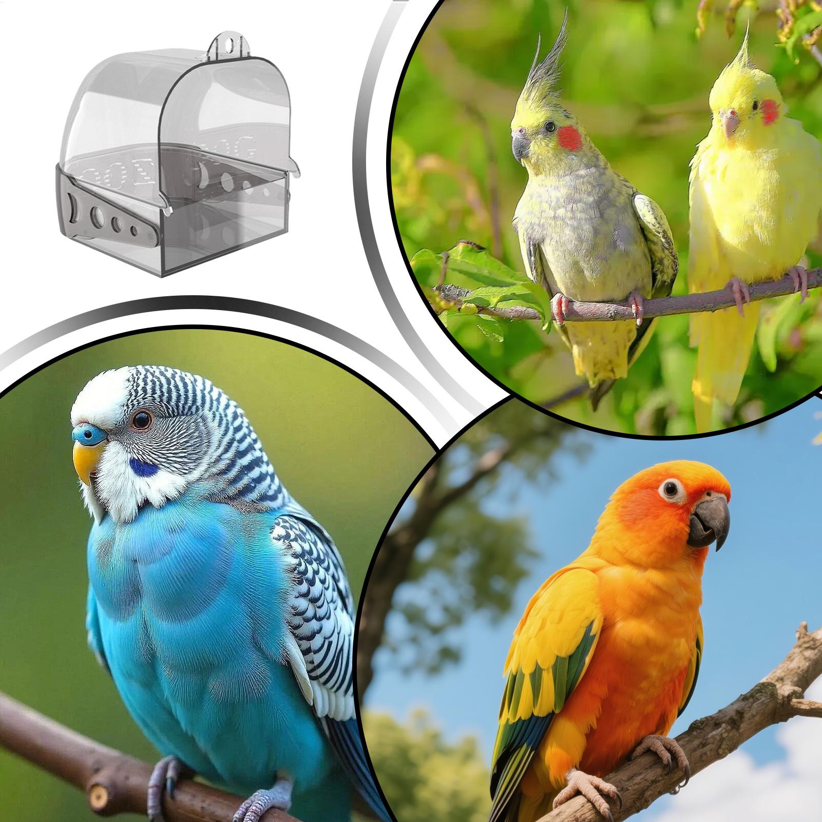 Parakeet Bath Hangable Detacha - Home Bath review and price